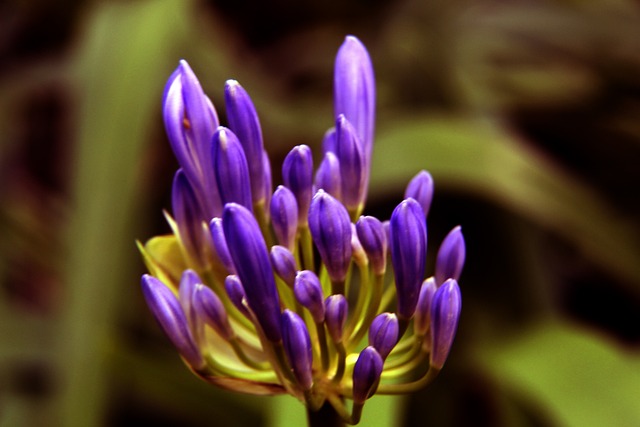 精彩時刻 精彩時刻