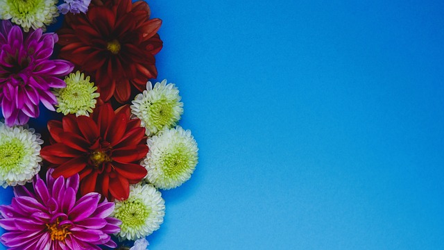 精神力量 精神力量