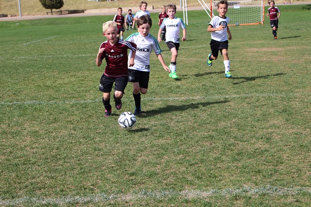 模较小的赠 模较小的赠