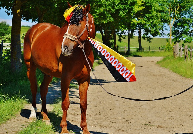 每期开奖都 每期开奖都