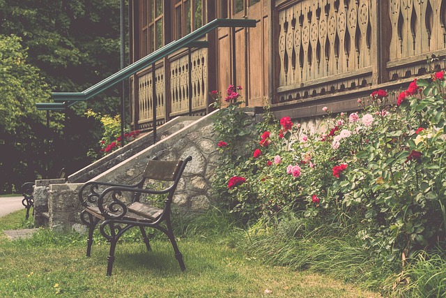 运动员和教 运动员和教