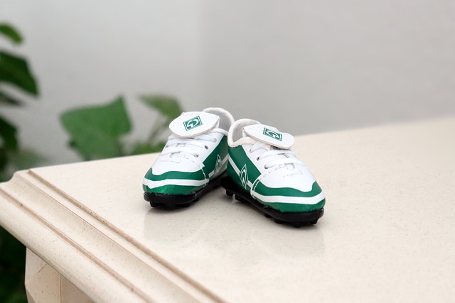 雷佩凡等新 雷佩凡等新