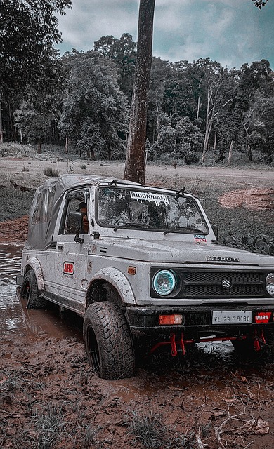 勇士队通过 勇士队通过