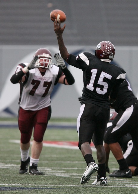 的竞争格局 的竞争格局