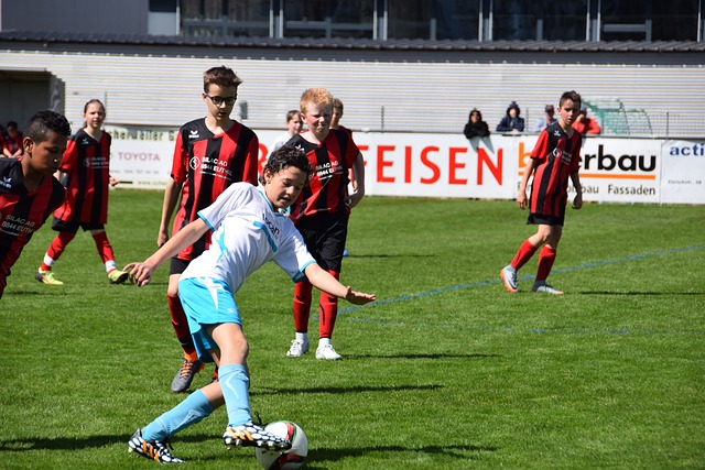 在最近的几 在最近的几