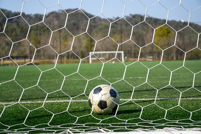 将定能在主 将定能在主